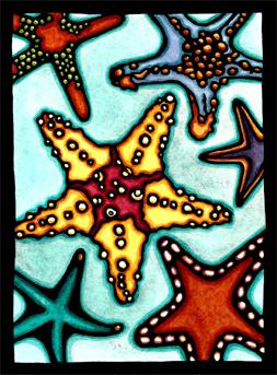 Starfish Original